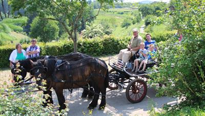 Experience nature in the Robbesscheier