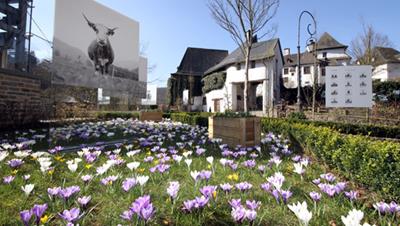 Clervaux - the city of pictures