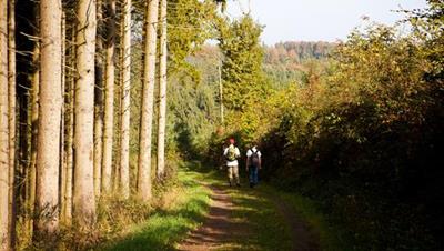 Wandeling in het Destination Clervaux